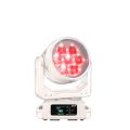 PROTEUS RAYZOR 760 WMG