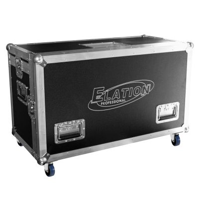 Pro Case 2 X Platinum Wash ZFX pro
