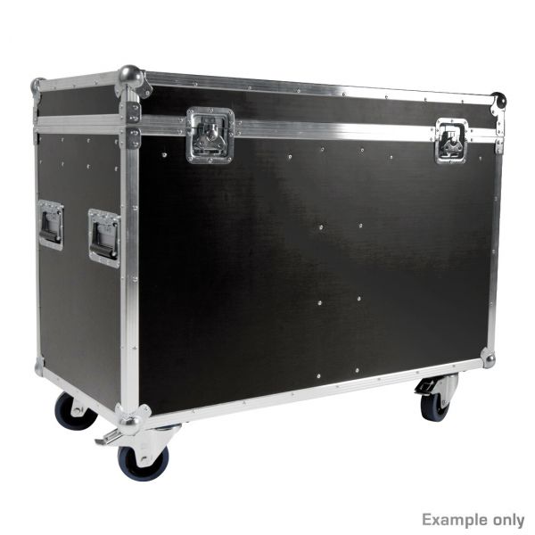 Touring Case for 2 X Artiste DaVinci old