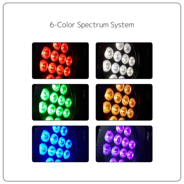 SixPar 100IP Picture 5