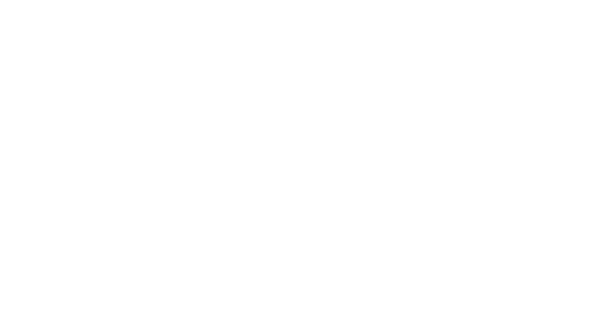 PALADIN PALADIN