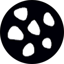 Gobo 151