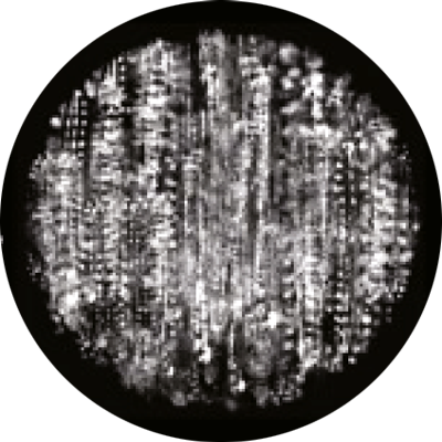 Gobo 189