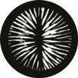 Gobo 50