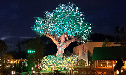 Elation shares in magic of Dollywood Wildwood Grove Tree