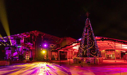 Elation IP-rated lighting for California Bayside’s outdoor Christmas village and light show