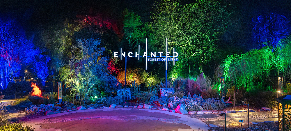 Lightswitch evolves “Enchanted Forest of Light” with expanded Elation lighting package