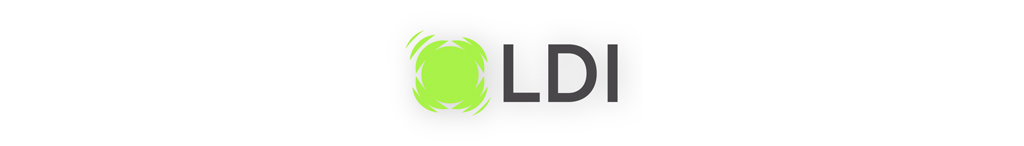 ldi 2025 