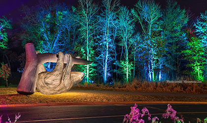 Legacy, Elation and Obsidian team up for “Nature Illuminated” at Minnesota Zoo