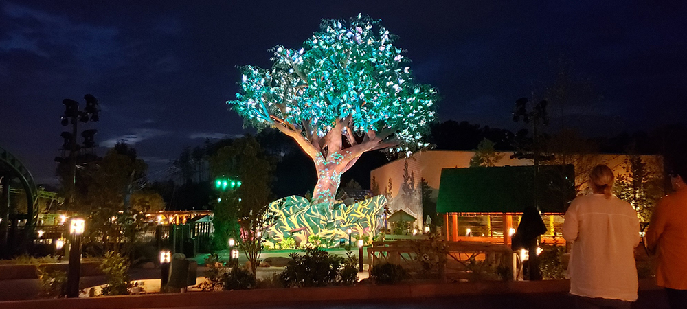 Elation shares in magic of Dollywood Wildwood Grove Tree