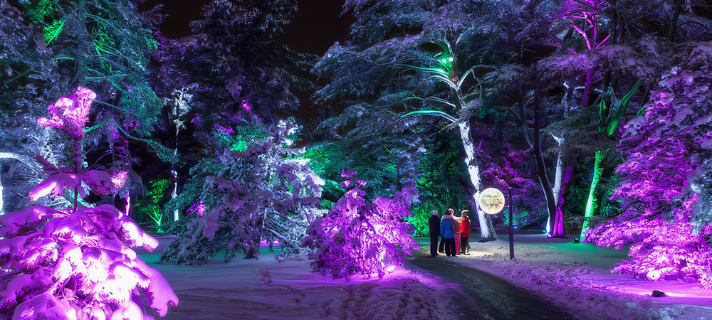 Lightswitch and Elation transform Morton Arboretum into magical wonderland of light