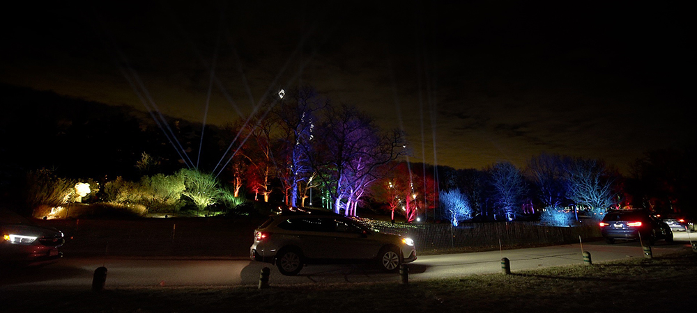 Over 700 Elation lights for 2020 Illumination - Tree Lights at The Morton Arboretum