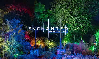 Lightswitch evolves “Enchanted Forest of Light” with expanded Elation lighting package