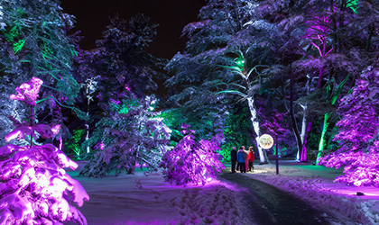 Lightswitch and Elation transform Morton Arboretum into magical wonderland of light