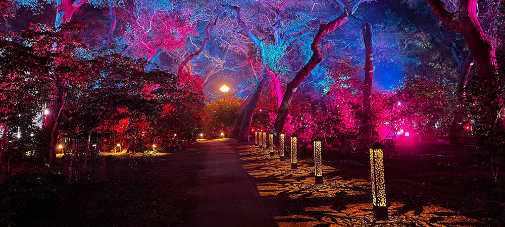 Proteus helps fulfill Lightswitch design for “Enchanted Forest of Light” at Descanso Gardens